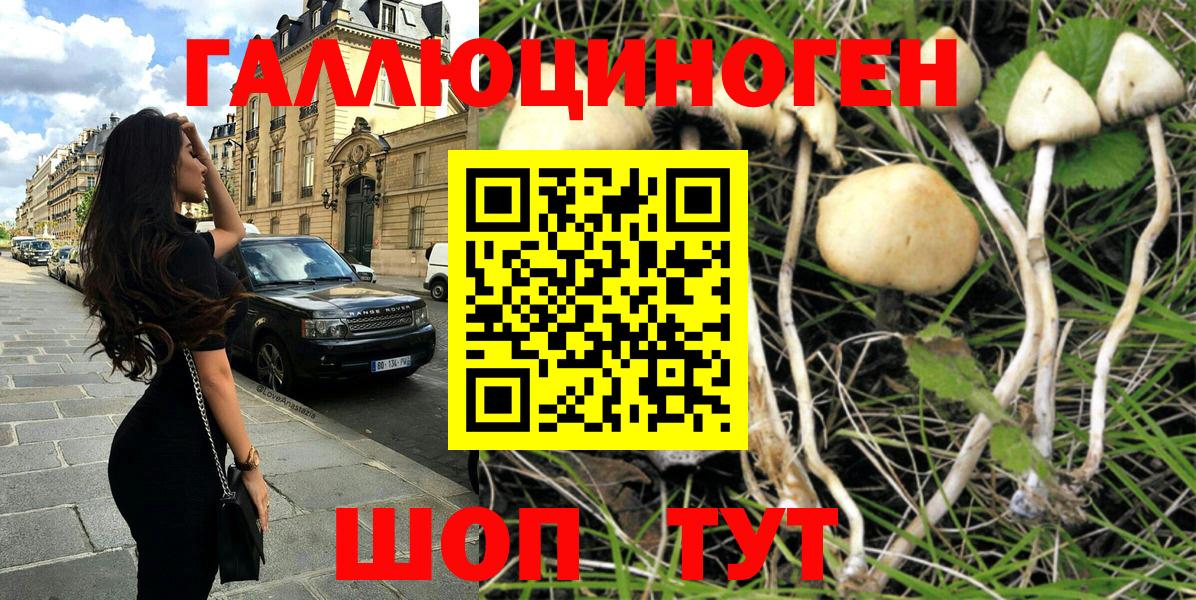 Галлюциногенные грибы Magic Shrooms Сегежа